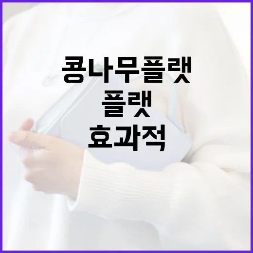 콩나무플랫을 효과적으로 활용하는 방법 - 요약