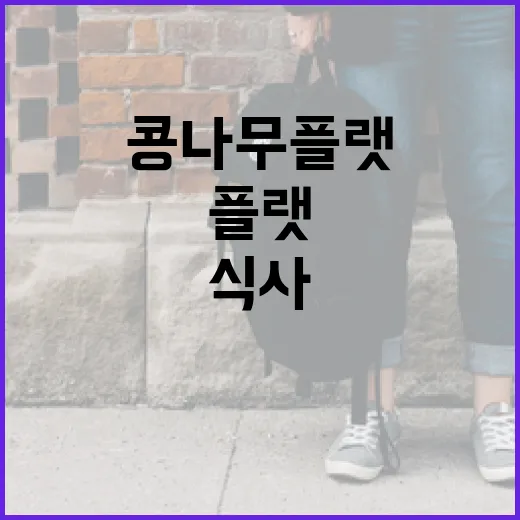 콩나무플랫을 활용하여 건강하게 식사하는 방법 - 요약