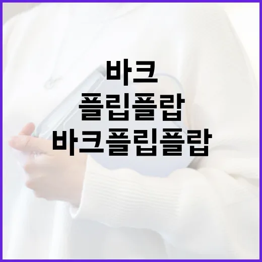바크 플립플랍을 선택하는 방법과 장점 알아보기 - 요약