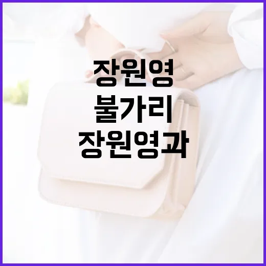 장원영과 불가리: 그녀처럼 스타일링하는 방법 - 요약