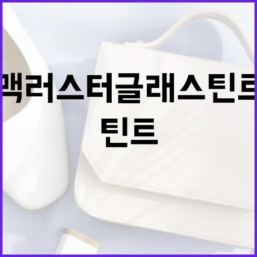 맥 러스터글래스 틴트를 완벽하게 사용하는 방법 - 요약