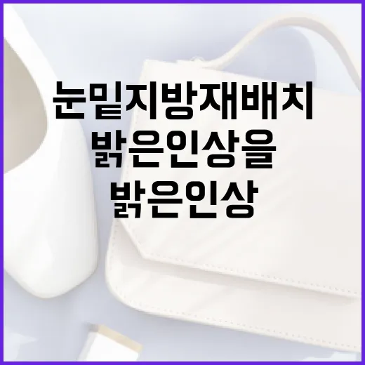 눈밑지방재배치로 밝은 인상을 만드는 방법 - 요약