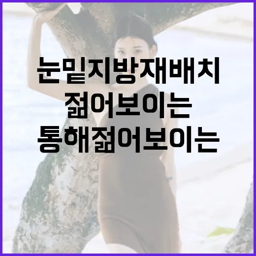 눈밑지방재배치를 통해 젊어 보이는 방법 - 요약
