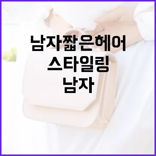 남자 짧은 헤어 스타일링 완벽 가이드 - 요약