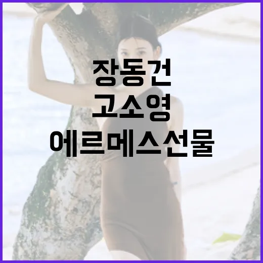장동건과 고소영이 에르메스 선물을 주고받는 방법 - 요약