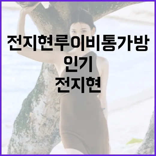 전지현 루이비통 가방 인기를 높이는 방법 - 요약