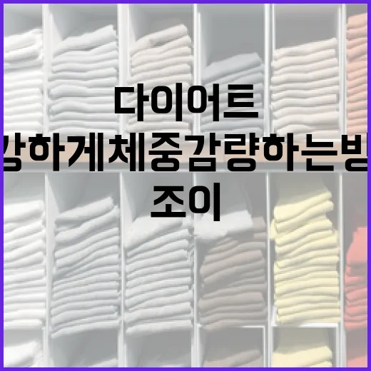 조이 다이어트로 건강하게 체중 감량하는 방법 - 요약