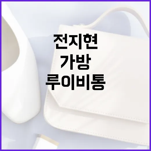 전지현처럼 루이비통 가방을 스타일링하는 방법 - 요약