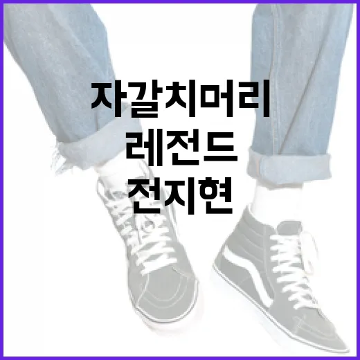 전지현 자갈치 머리 레전드를 완성하는 방법 - 요약