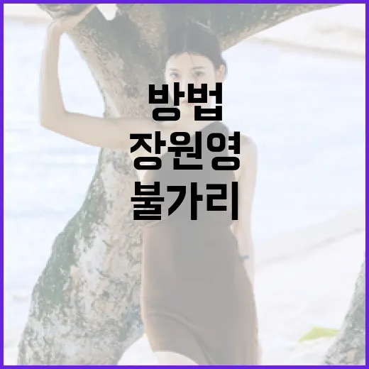 장원영이 불가리와 협업하는 방법 - 요약