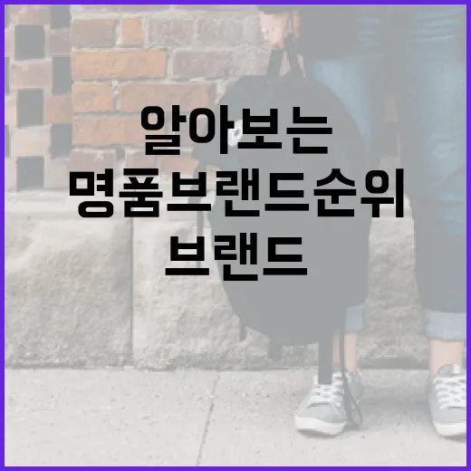 명품 브랜드 순위를 알아보는 방법 - 요약