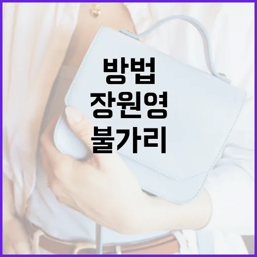 장원영이 불가리와 협업하는 방법 - 요약