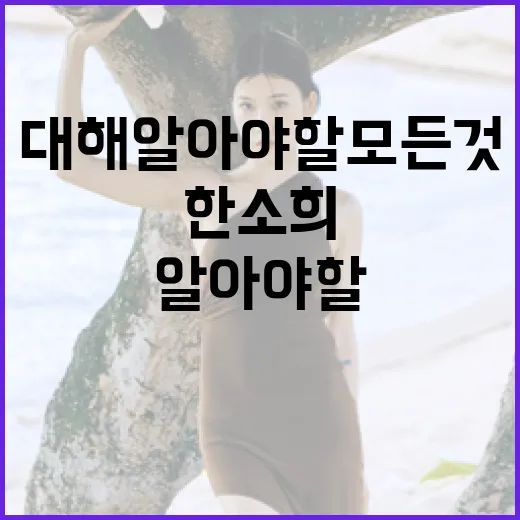 한소희에 대해 알아야 할 모든 것 - 요약