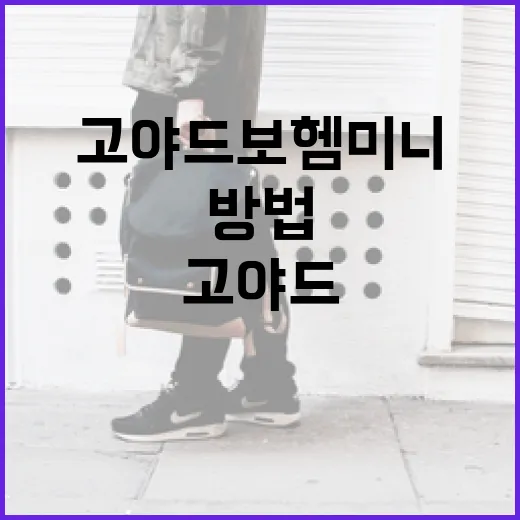 고야드 보헴 미니를 스타일리시하게 활용하는 방법 - 요약