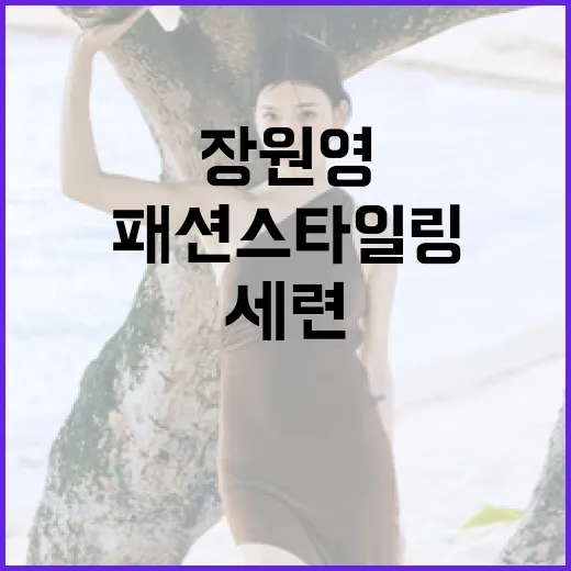 장원영처럼 세련되게 패션 스타일링하는 방법 - 요약