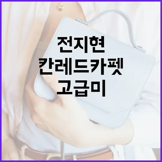 전지현처럼 칸 레드카펫에서 고급미를 뽐내는 방법 - 요약