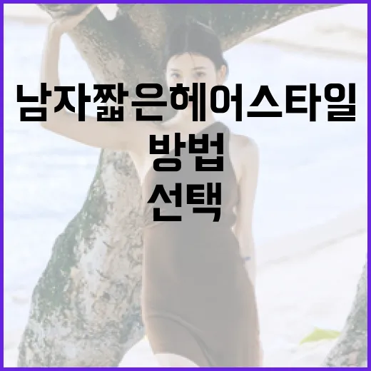 남자 짧은 헤어 스타일 선택하는 방법 - 요약