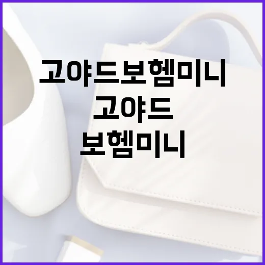 고야드 보헴 미니를 스타일링하는 방법 - 요약