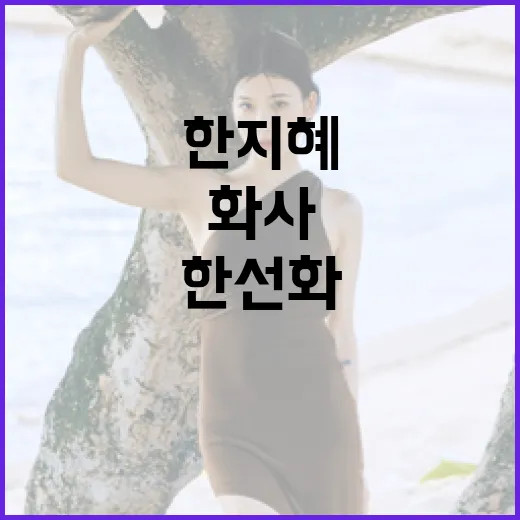 한지혜, 화사, 한선화처럼 같은 옷 다른 무드로 스타일링하는 방법 - 요약