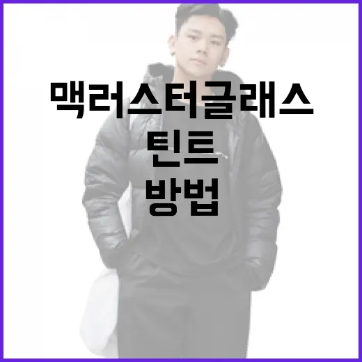 맥 러스터글래스 틴트를 활용하는 방법 - 요약