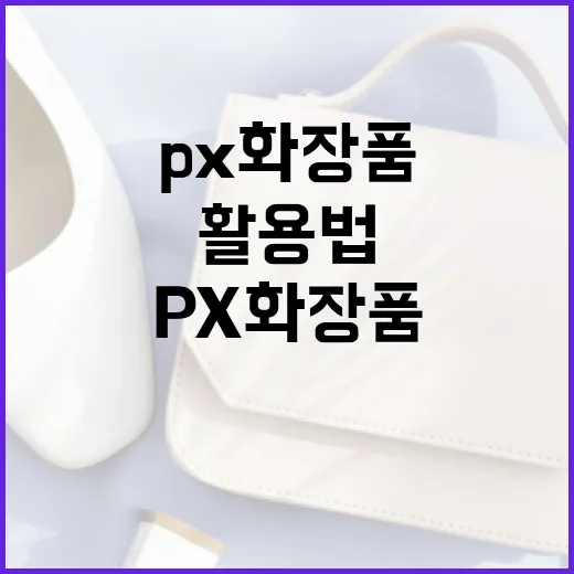 피부 관리를 위한 PX 화장품 활용법 - 요약