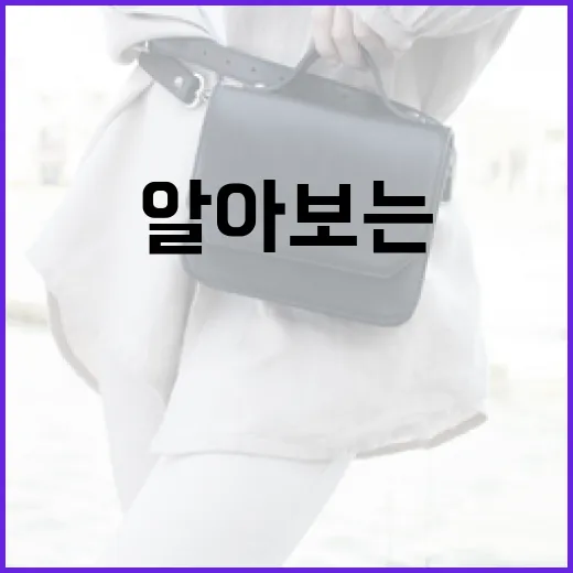 올리비아 핫세의 매력을 알아보는 방법 - 요약