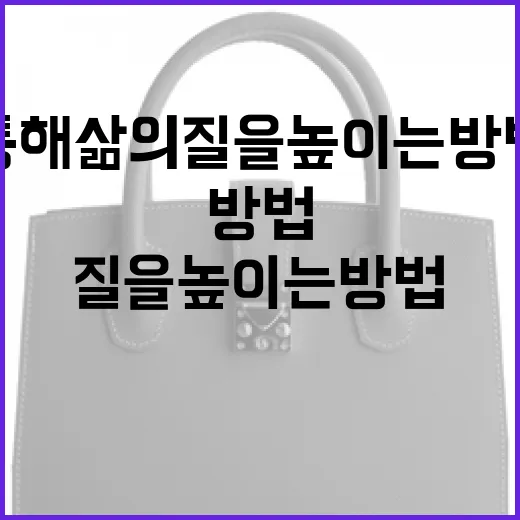 유희라를 통해 삶의 질을 높이는 방법 - 요약