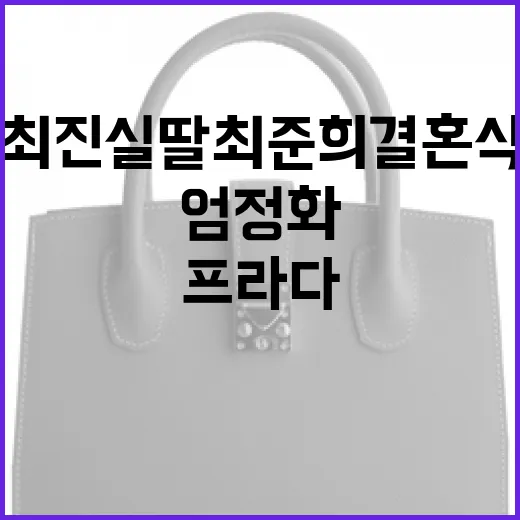 최진실 딸 최준희 결혼식에서 엄정화의 프라다 스타일을 따라하는 방법 - 요약