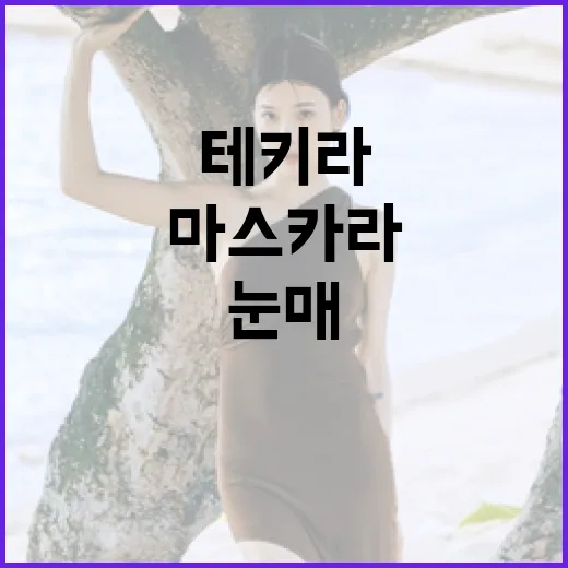 테키라 마스카라로 자연스럽고 화려한 눈매 연출하는 방법 - 요약