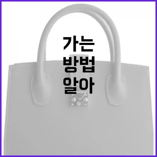올리비아 핫세를 알아가는 방법 - 요약