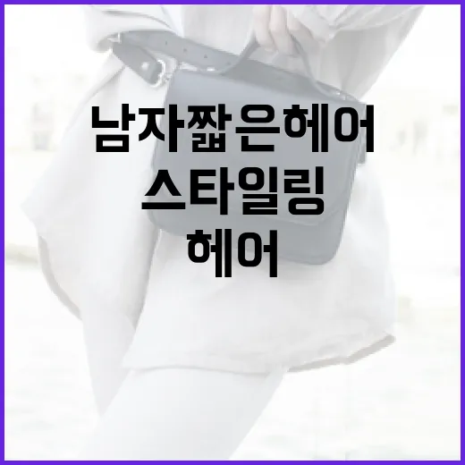 남자 짧은 헤어: 스타일링부터 관리까지 - 요약