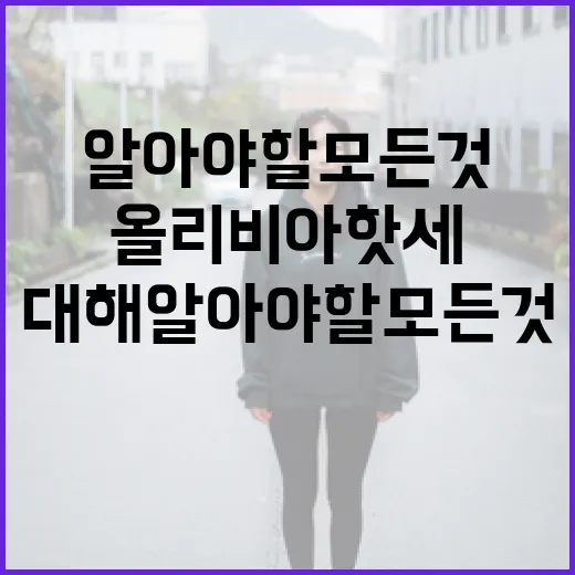 올리비아 핫세에 대해 알아야 할 모든 것 - 요약
