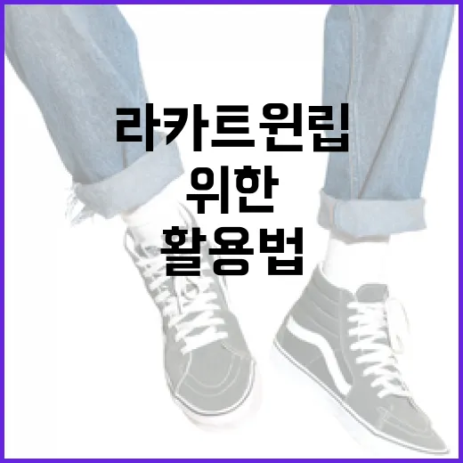 라카 트윈립 활용법: 완벽한 립 메이크업을 위한 가이드 - 요약