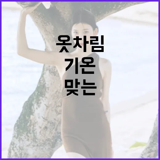 기온에 맞는 옷차림, 이렇게 준비해보세요! - 요약
