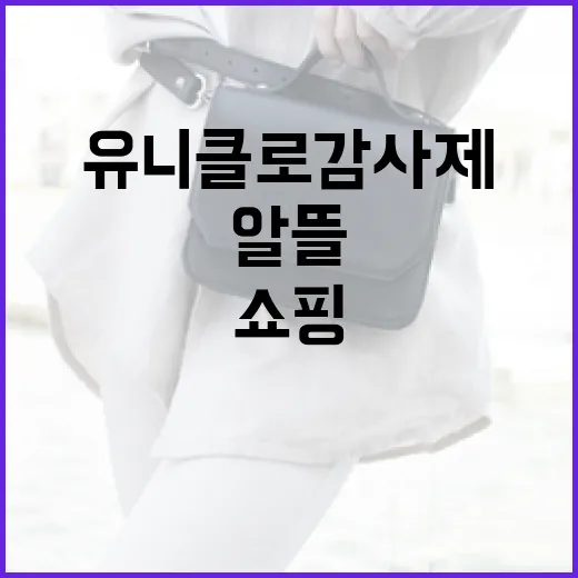 유니클로 감사제, 알뜰하게 쇼핑하는 방법 - 요약