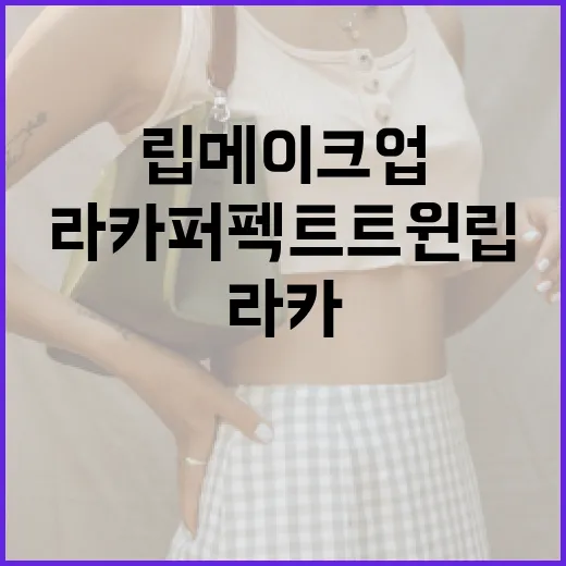라카 퍼펙트 트윈 립으로 완벽한 립 메이크업 완성하는 방법 - 요약