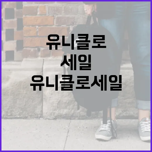 유니클로 세일을 최대한 활용하는 법 - 요약