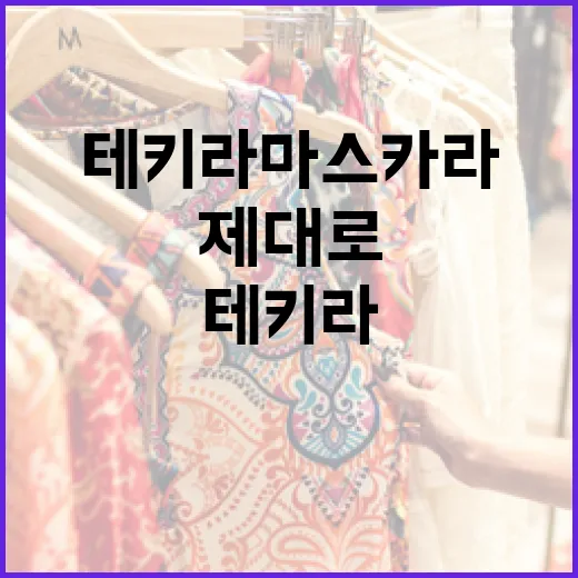 테키라 마스카라, 제대로 활용하는 방법 - 요약