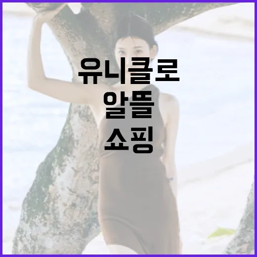 유니클로에서 알뜰하게 쇼핑하는 방법 - 요약