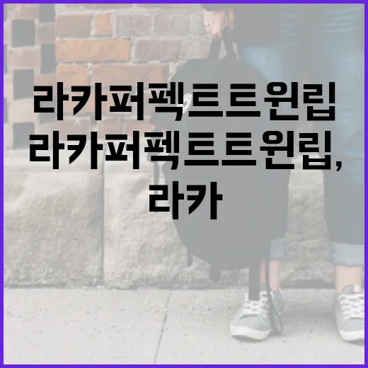 라카 퍼펙트 트윈 립, 당신의 입술을 완벽하게 - 요약