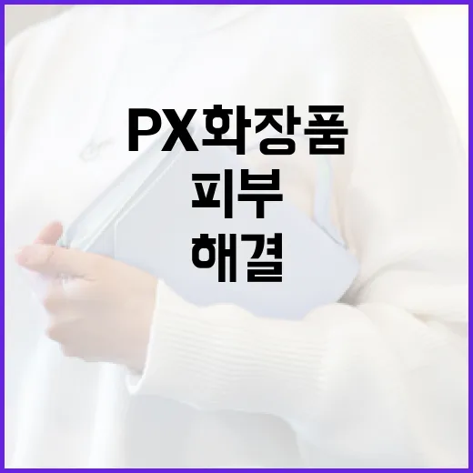 피부 고민 해결! PX 화장품 활용법 - 요약