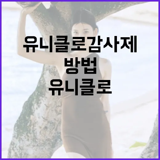 유니클로 감사제를 최대한 활용하는 방법 - 요약