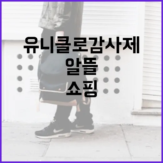 유니클로 감사제에서 알뜰하게 쇼핑하는 방법 - 요약