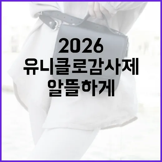 유니클로 감사제 2026, 알뜰하게 쇼핑하는 방법! - 요약