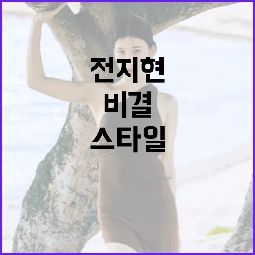 전지현 스타일 따라하기: 매력적인 비결 - 요약