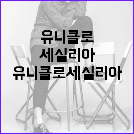 유니클로 세실리아: 스타일과 편안함을 동시에 잡는 법 - 요약