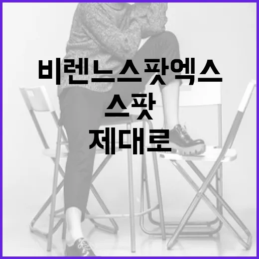 비렌느 스팟 엑스를 제대로 활용하는 방법 - 요약
