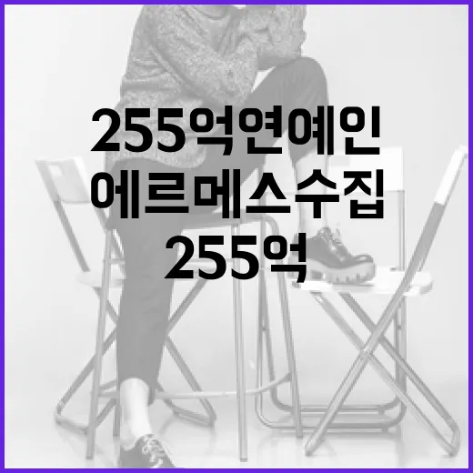 255억 연예인이 에르메스 수집하는 방법 - 요약