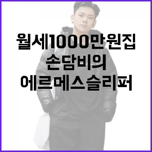 손담비의 럭셔리 라이프, 월세 1000만원 집과 에르메스 슬리퍼 이야기 - 요약