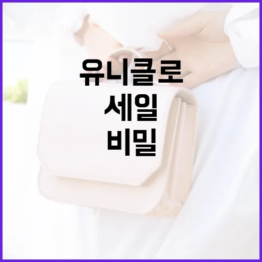 유니클로 세일, 알뜰 쇼핑의 비밀을 풀어보자! - 요약
